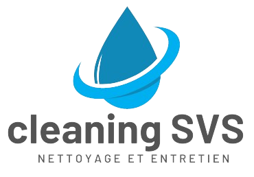 logo de l'entreprise cleaning-SVS